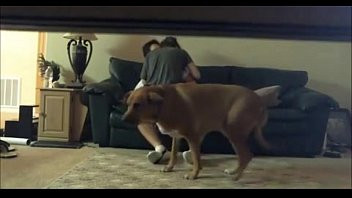 Play Hidden Cam Catches Son With The Neighbor - BadBootyCams.Com